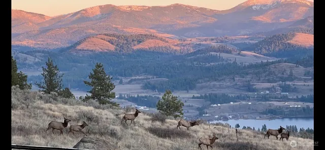 $3,335,000 | 54 Hardrock Road, Republic, WA 99166