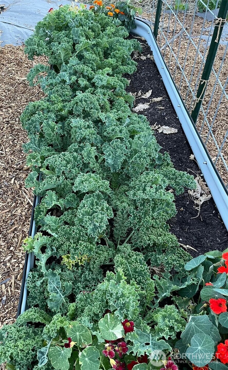 54 Hardrock Road Republic, WA 99166 - Photo 22 of 40