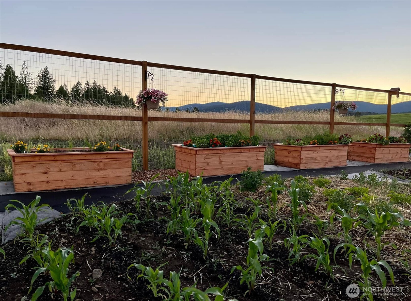 54 Hardrock Road Republic, WA 99166 - Photo 23 of 36 a garden view with a sitting space