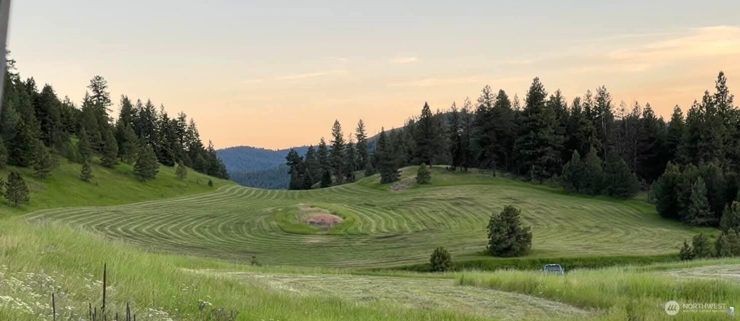 54 Hardrock Road Republic, WA 99166 - Photo 24 of 36 a view of a grassy area with an trees