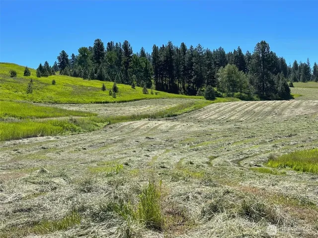 $3,335,000 | 54 Hardrock Road, Republic, WA 99166