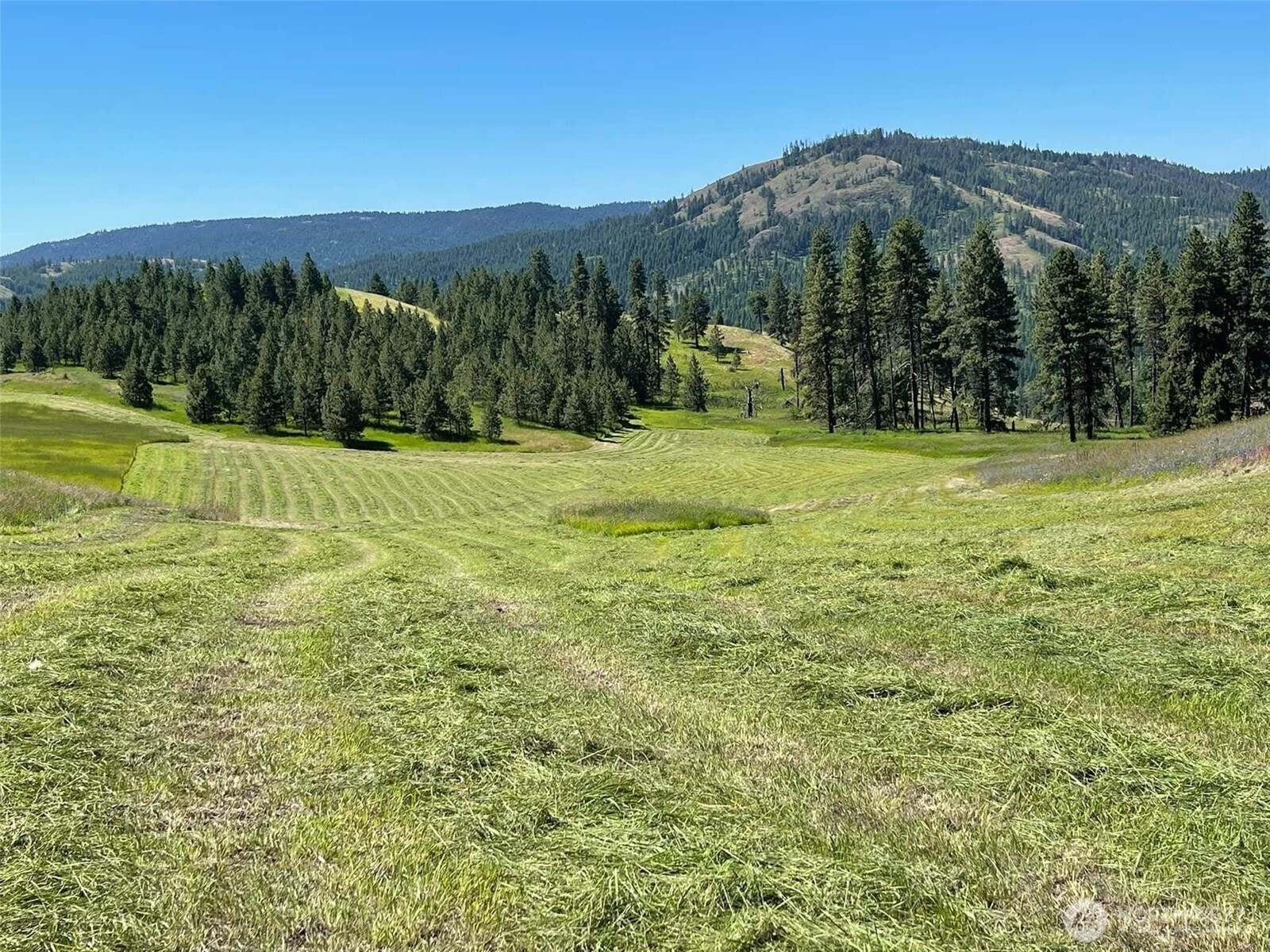 54 Hardrock Road Republic, WA 99166 - Photo 27 of 36 a view of outdoor space with mountain view