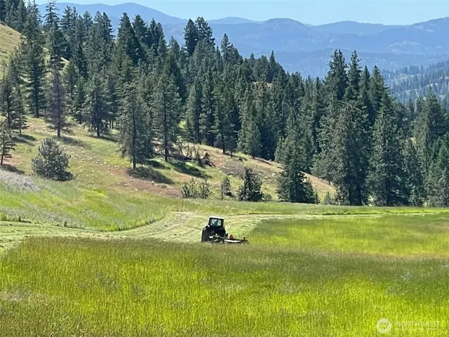 $3,335,000 | 54 Hardrock Road, Republic, WA 99166