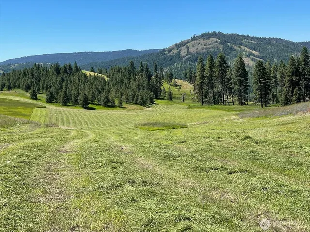 $3,335,000 | 54 Hardrock Road, Republic, WA 99166