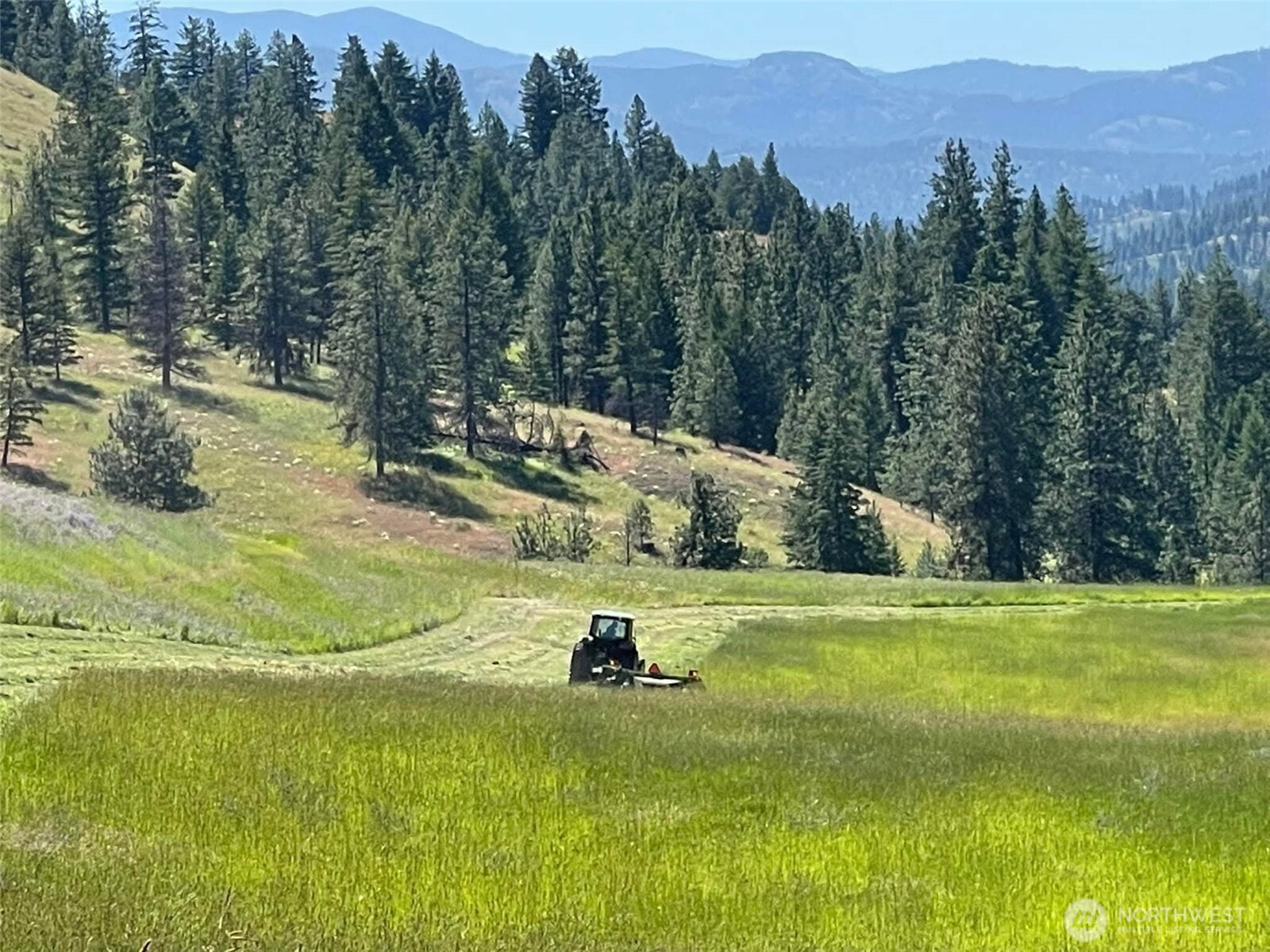 54 Hardrock Road Republic, WA 99166 - Photo 29 of 40