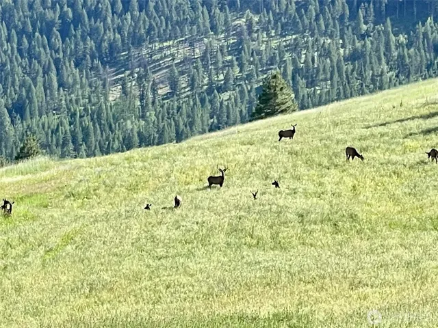 $3,335,000 | 54 Hardrock Road, Republic, WA 99166