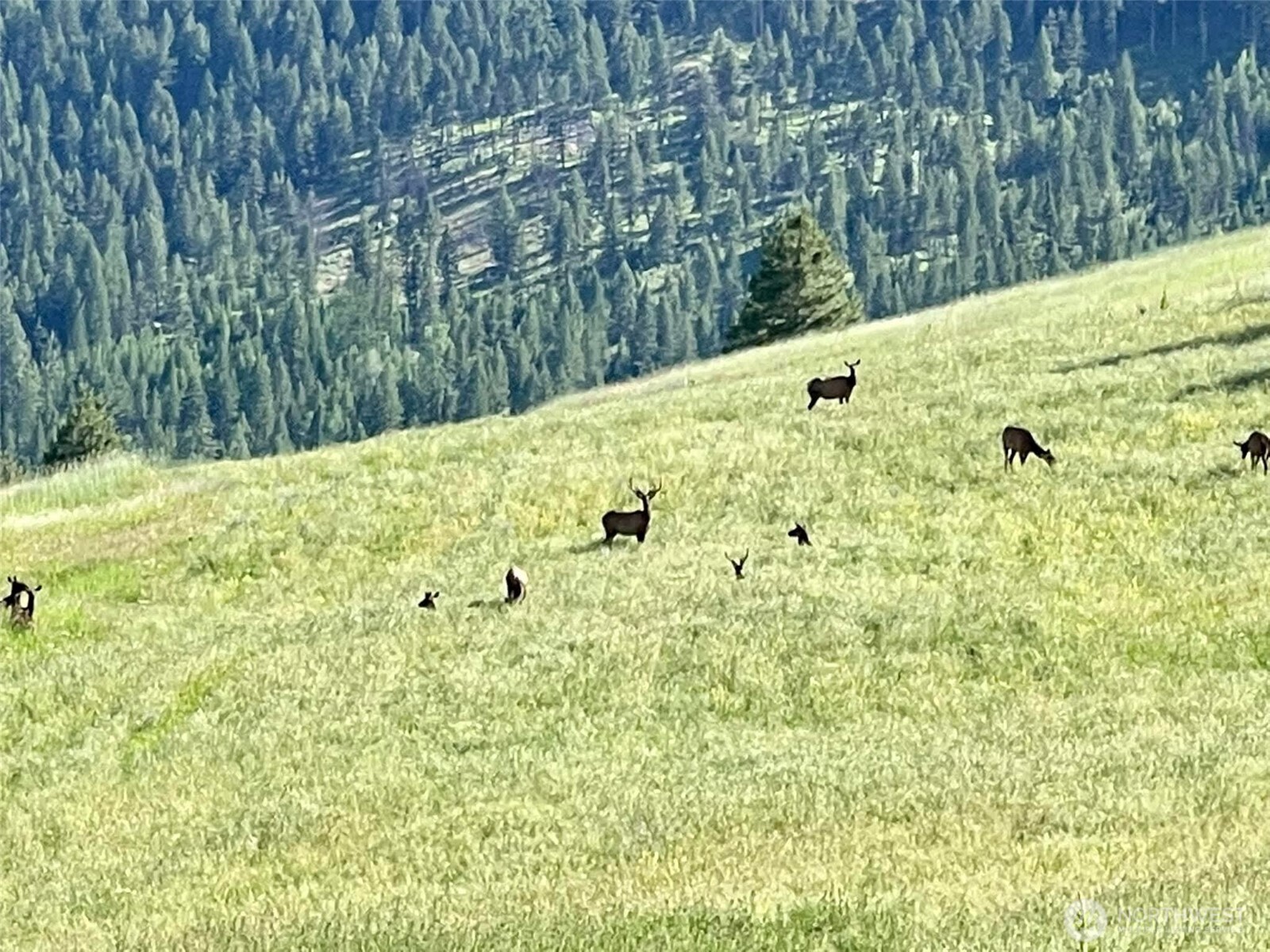 54 Hardrock Road Republic, WA 99166 - Photo 31 of 40