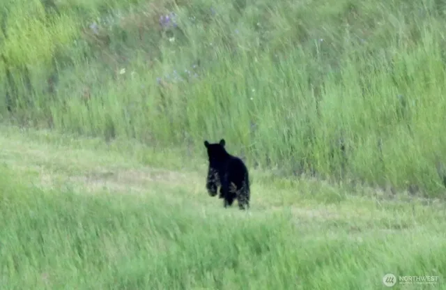 $3,335,000 | 54 Hardrock Road, Republic, WA 99166