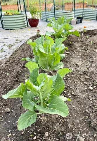 $3,335,000 | 54 Hardrock Road, Republic, WA 99166