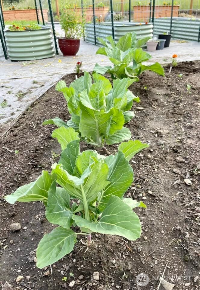 54 Hardrock Road Republic, WA 99166 - Photo 33 of 40