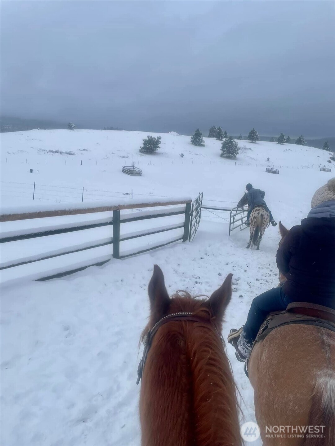 54 Hardrock Road Republic, WA 99166 - Photo 40 of 40