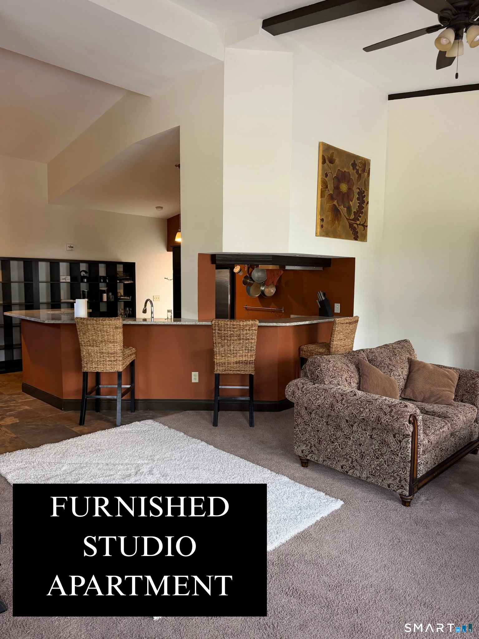 a living room with furniture and a couch