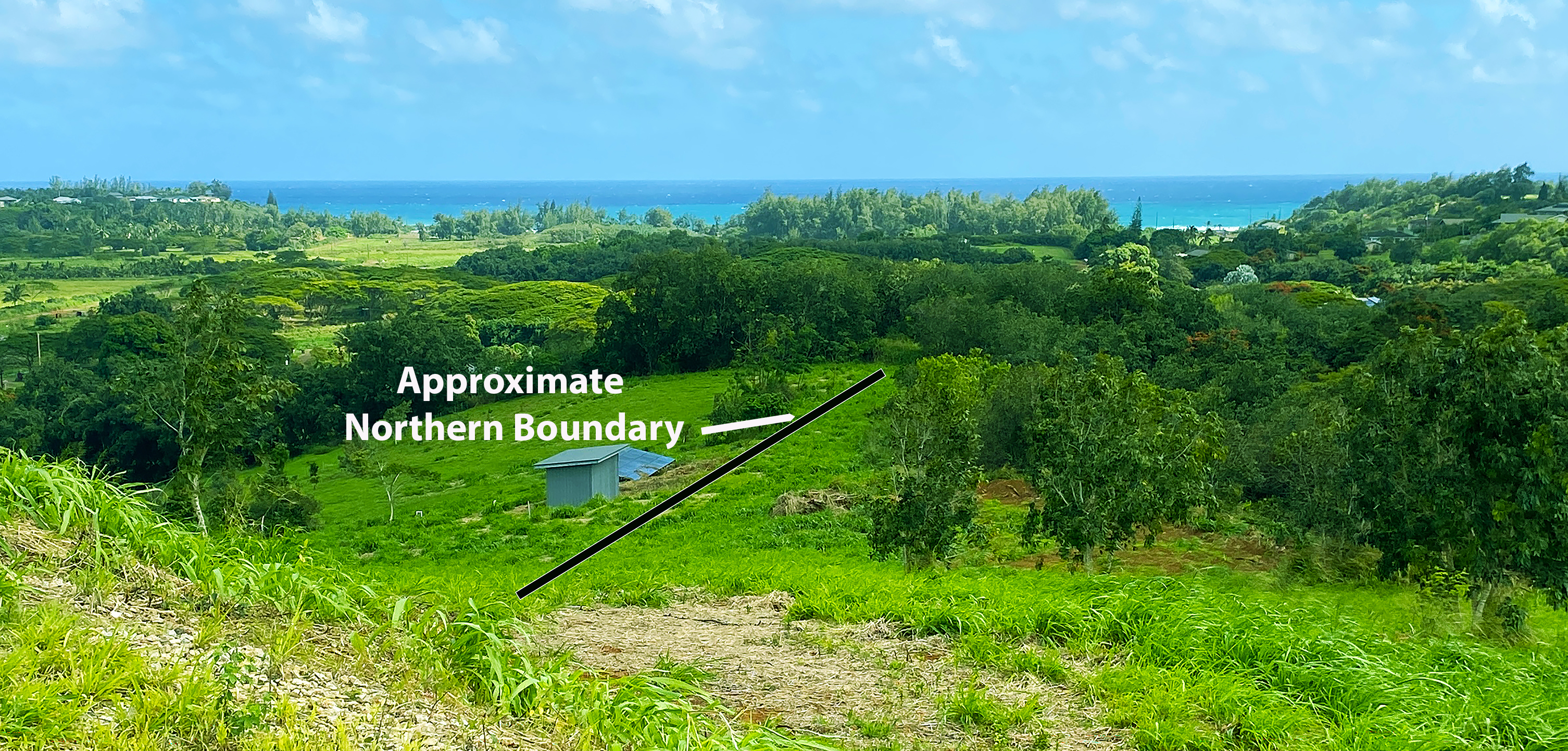 15 Laipo Road Kapaa, HI 96746 - Photo 2 of 6 a view of a lush green space