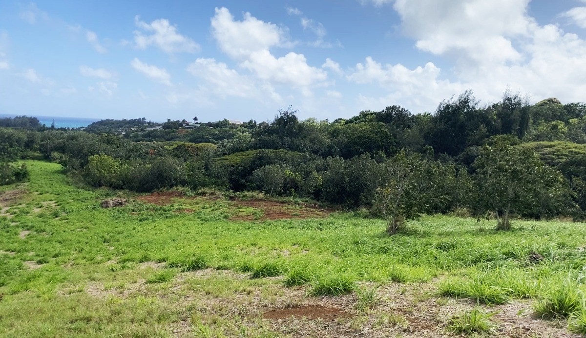 15 Laipo Road Kapaa, HI 96746 - Photo 3 of 6 a view of a green field with lots of bushes