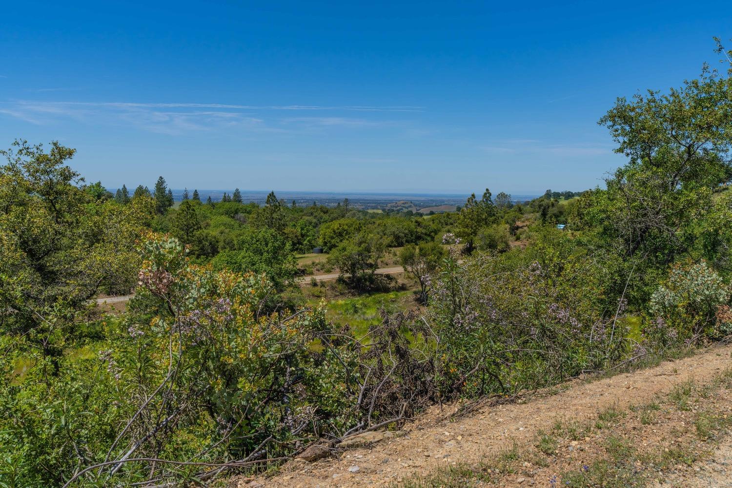 12377 Twin Pines Road Sutter Creek, CA 95685 - Photo 26 of 57 Gallery Image 26
