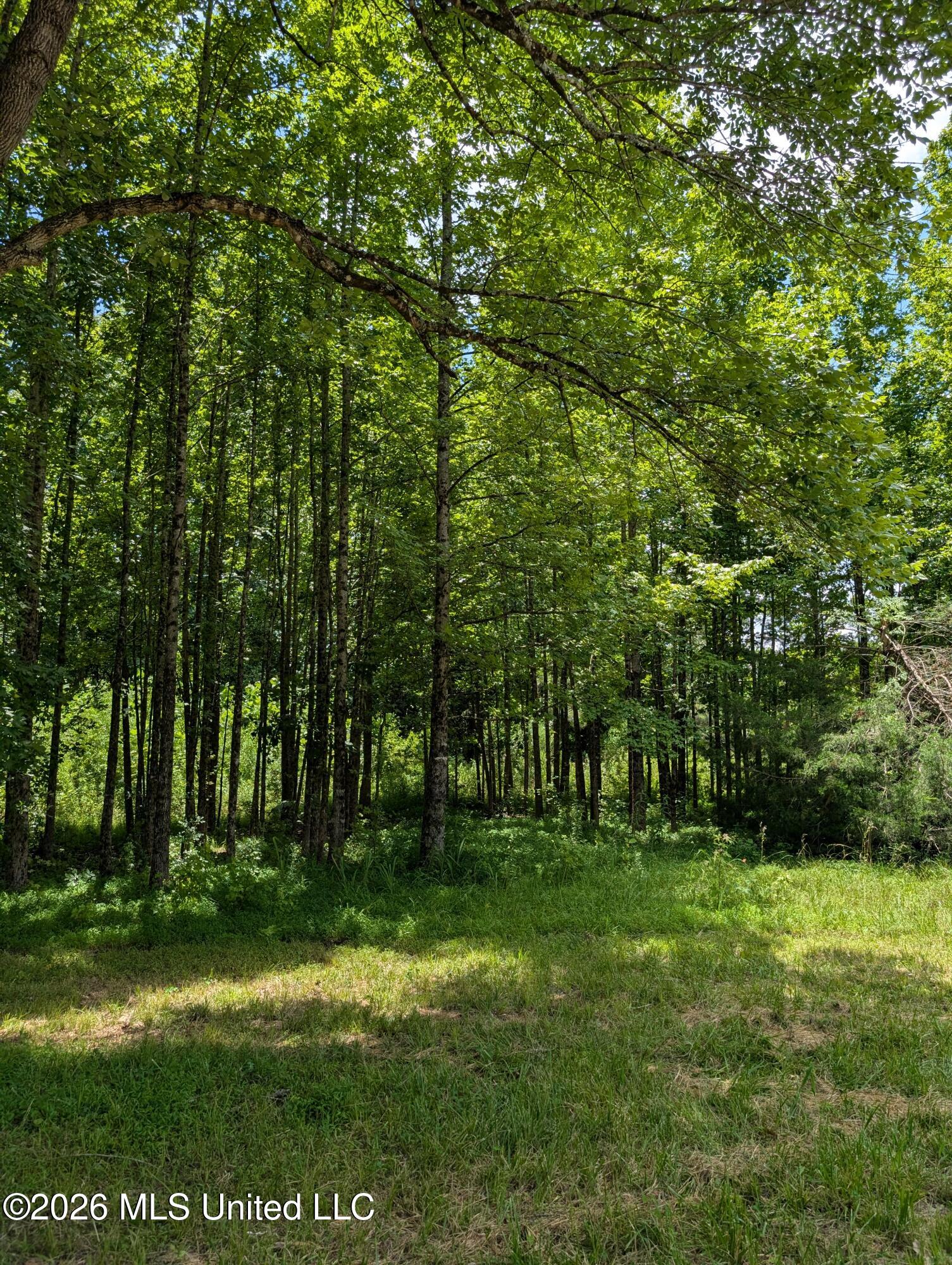 109 West Caldwell Road Booneville, MS 38829 - Photo 3 of 3 6631