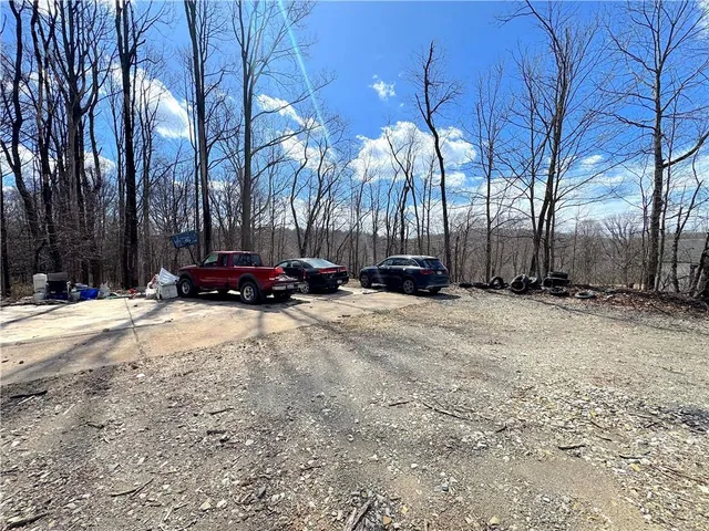 a view of yard with trees