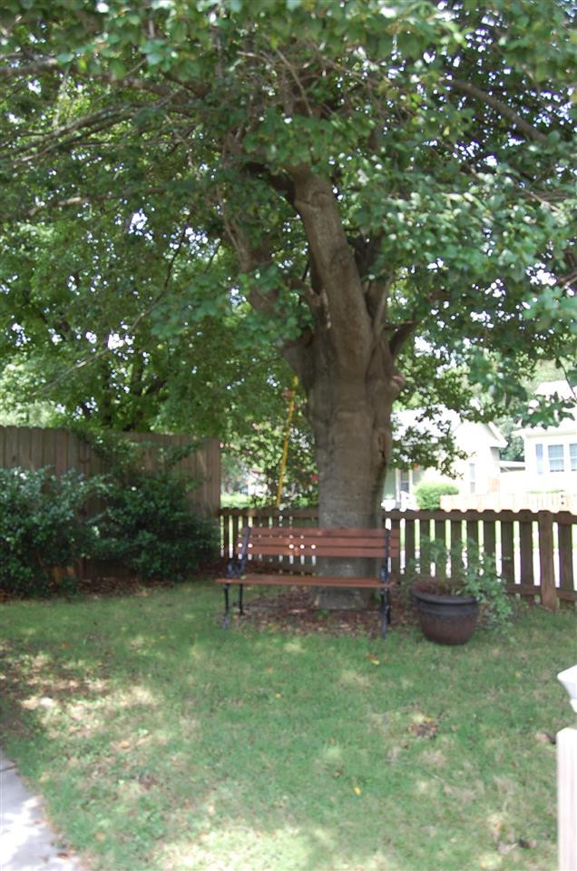 1005 East Jones Street Raleigh, NC 27601 - Photo 3 of 25 Photo 3