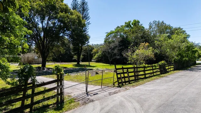 a view of a park with large trees