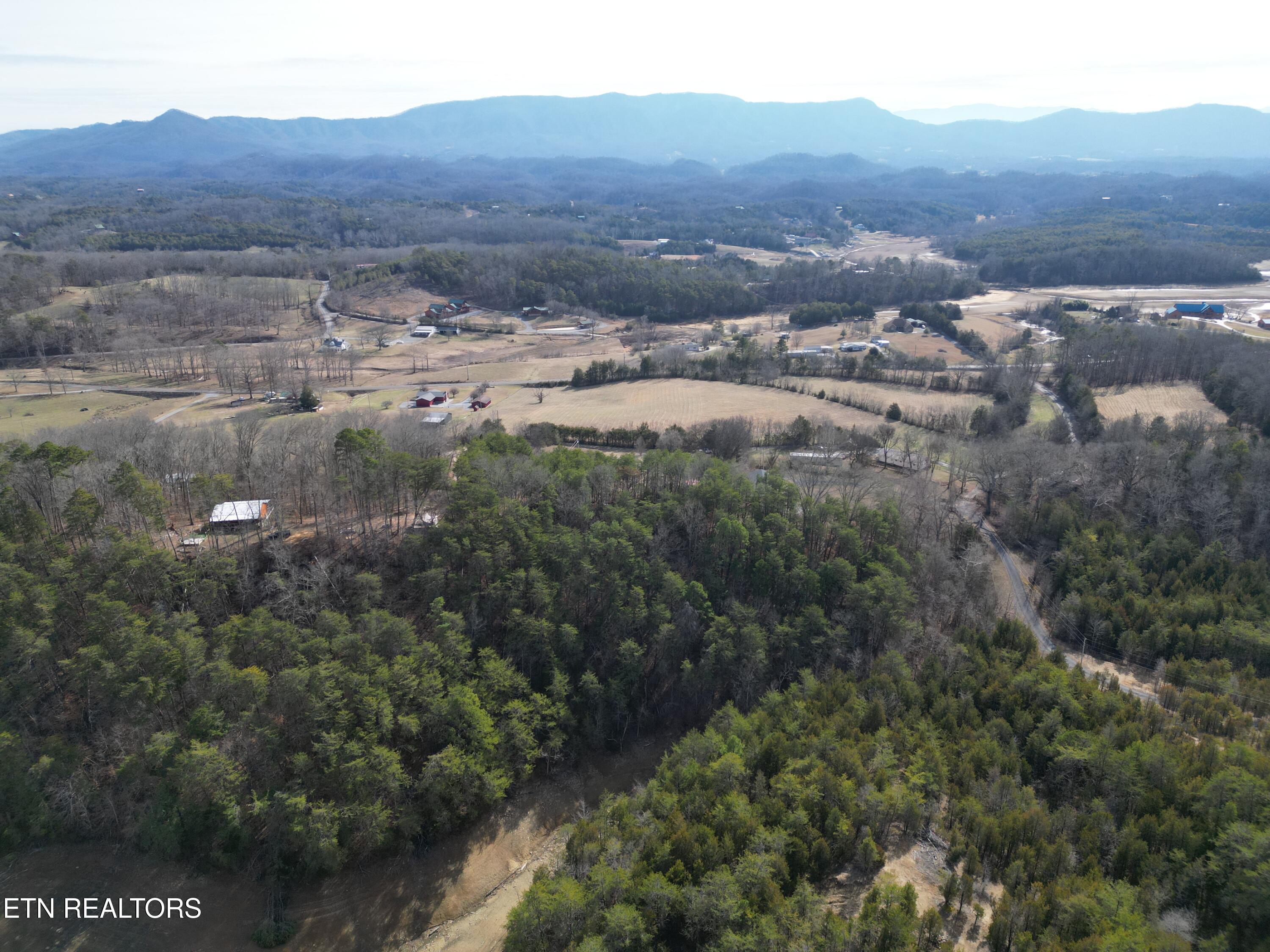 320 Hance Way Dandridge, TN 37725 - Photo 17 of 51 DJI_0023