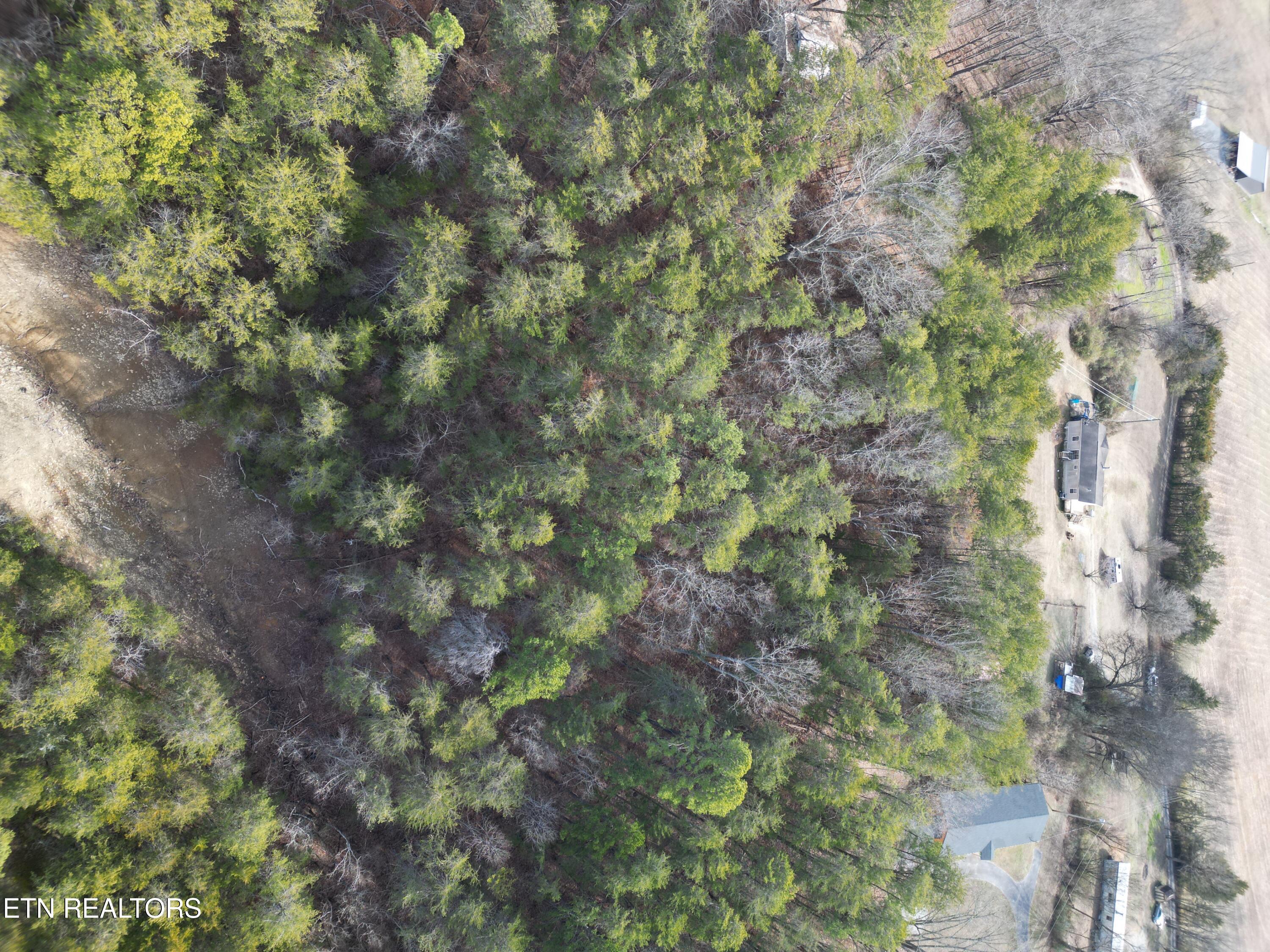 320 Hance Way Dandridge, TN 37725 - Photo 33 of 51 DJI_0044