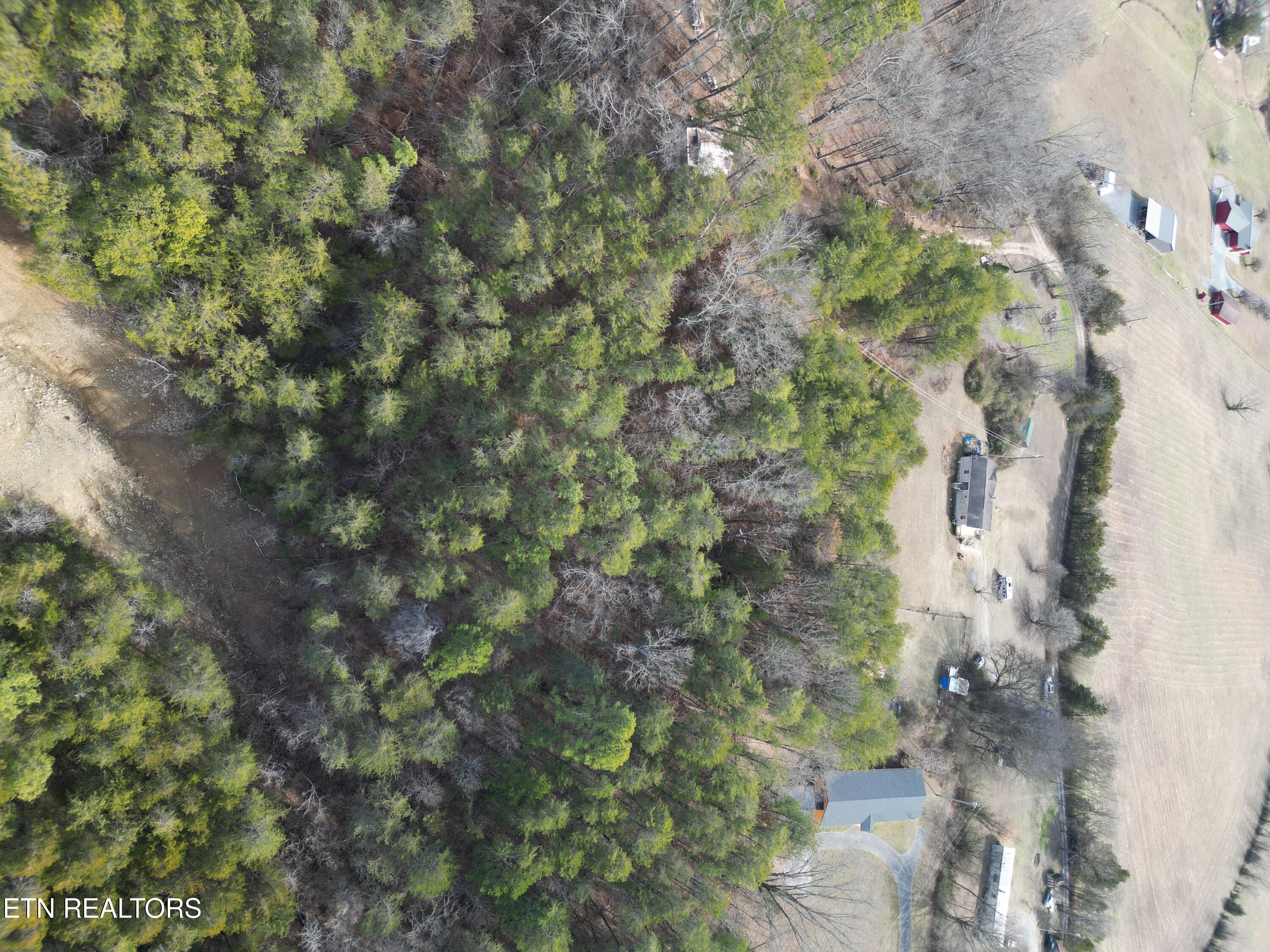 320 Hance Way Dandridge, TN 37725 - Photo 34 of 51 DJI_0045