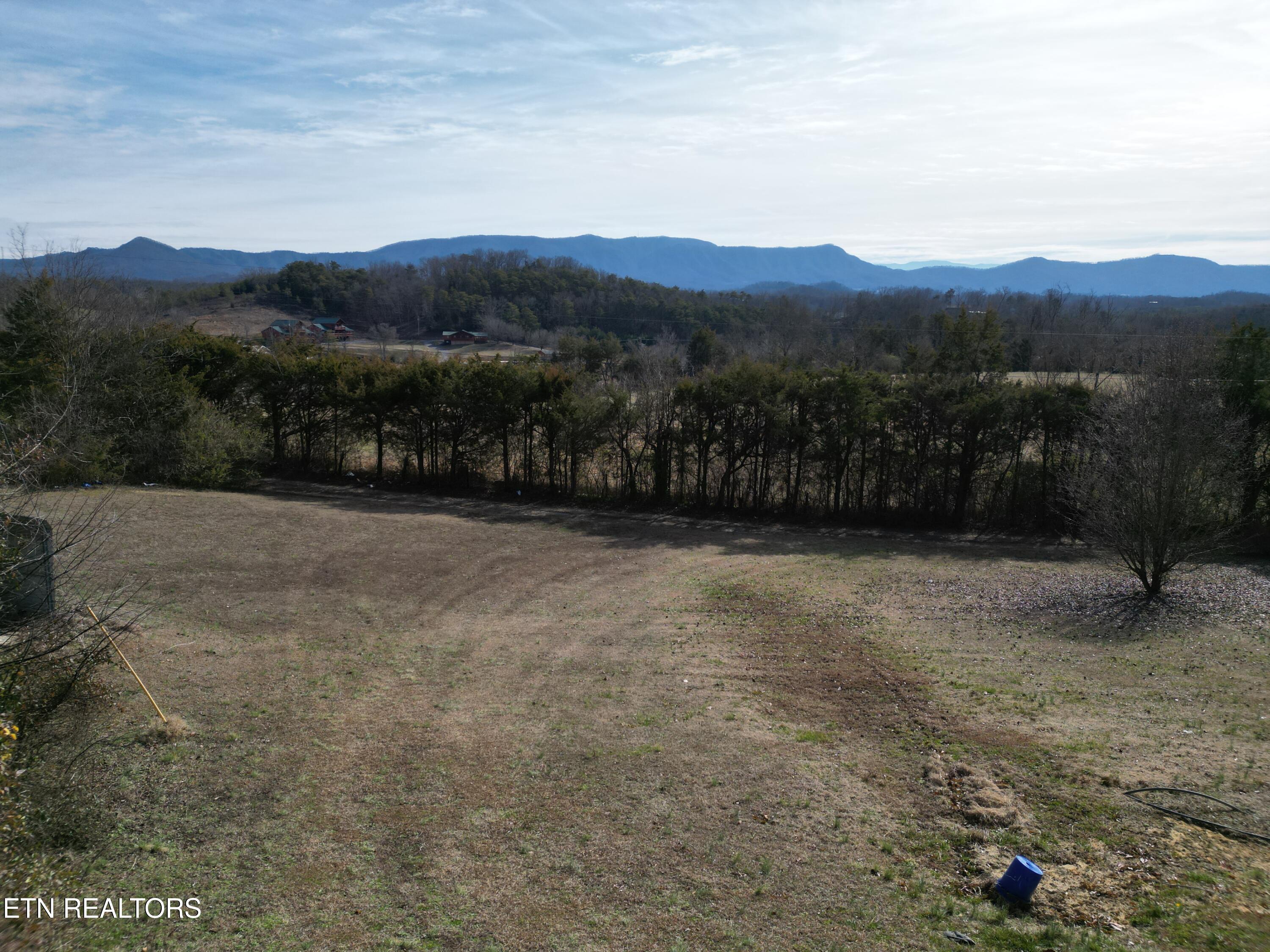 320 Hance Way Dandridge, TN 37725 - Photo 4 of 51 DJI_0071