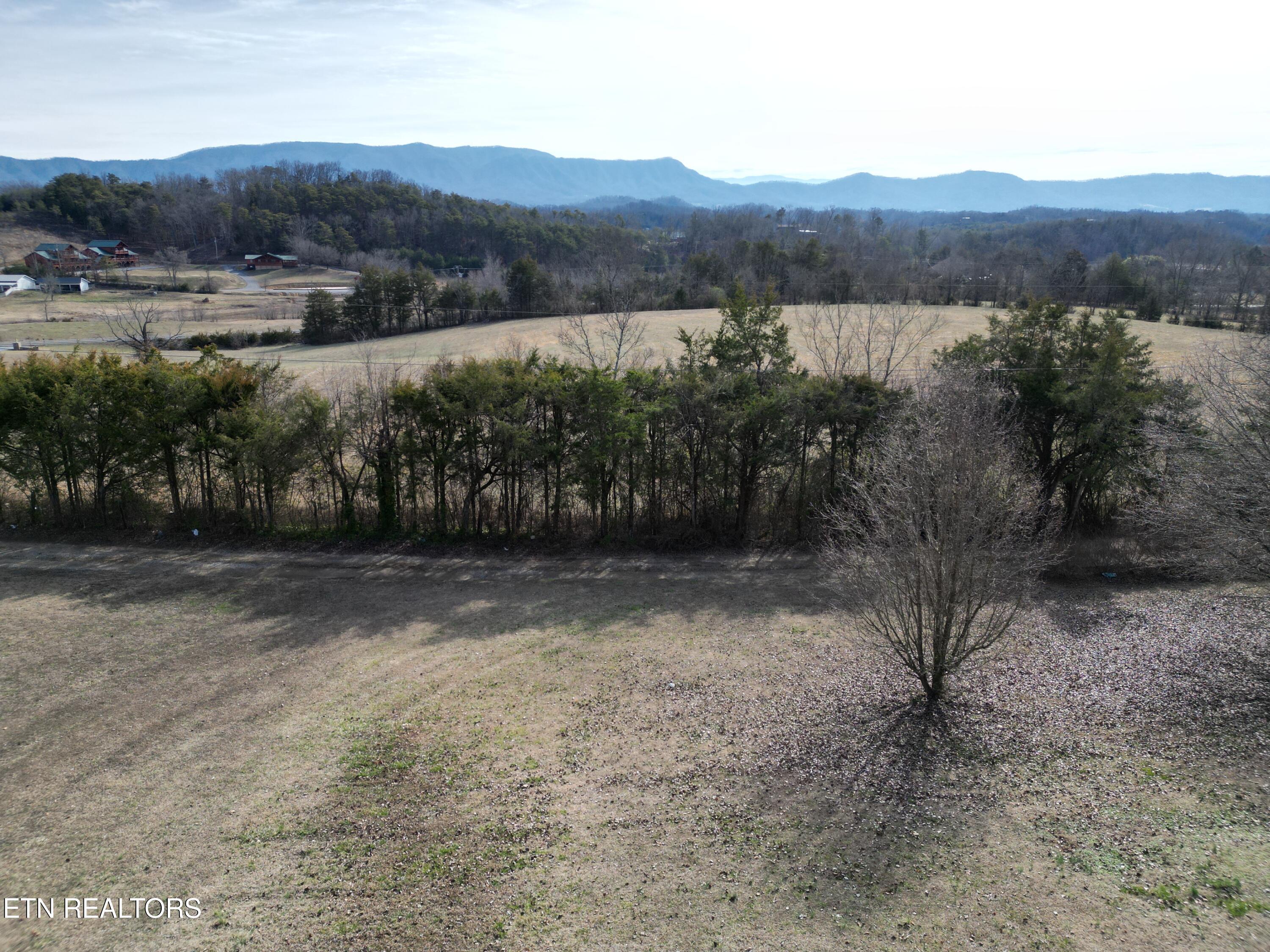 320 Hance Way Dandridge, TN 37725 - Photo 5 of 51 DJI_0063