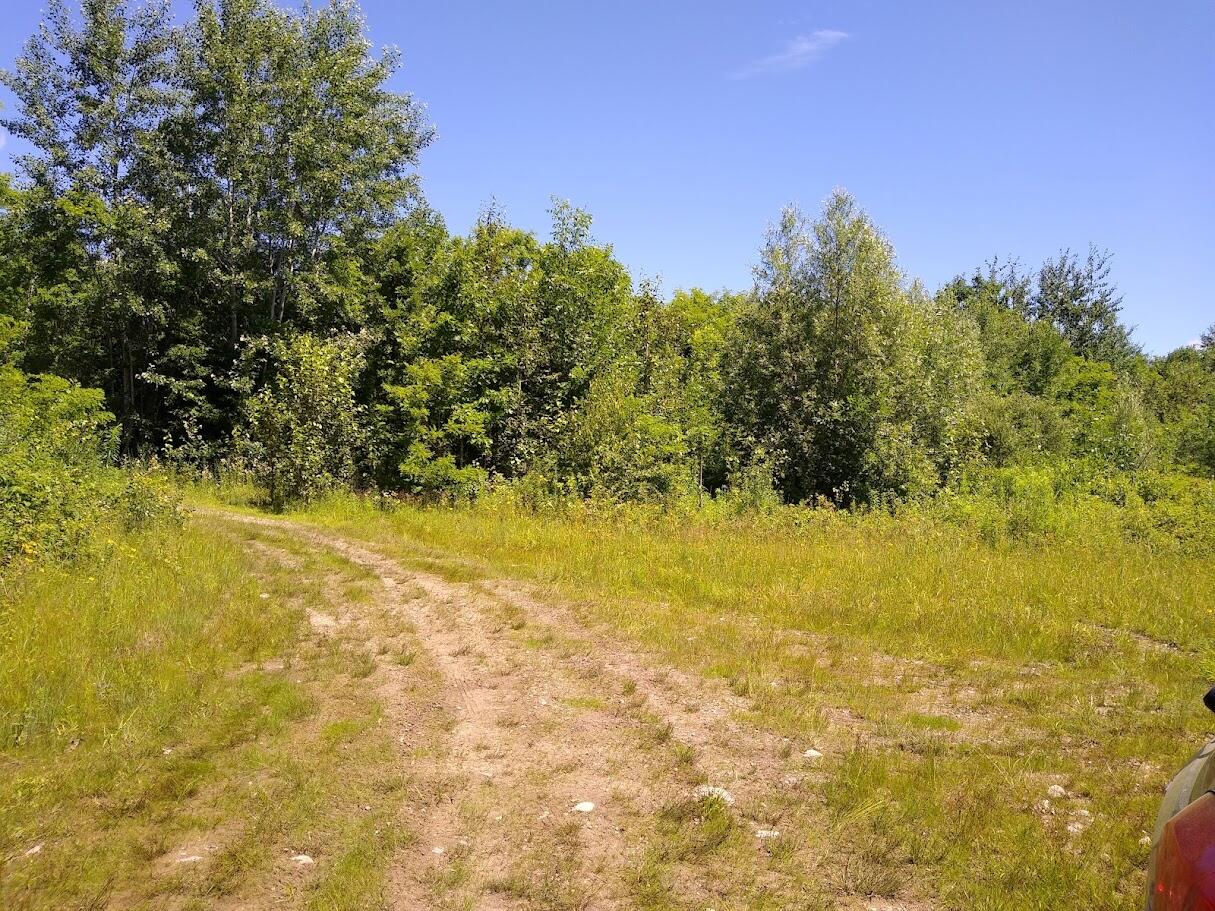 0 Rockwell Road Plattsburgh, NY 12901 - Photo 7 of 16 Gallery Image 7