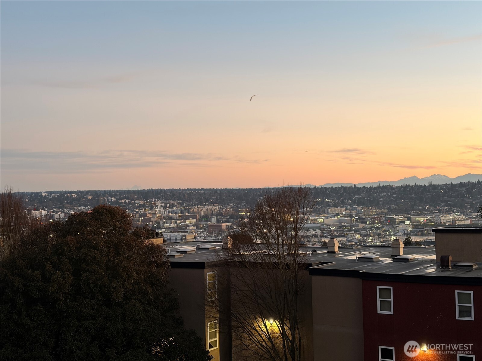 2510 West Bertona Street, Unit 428 Seattle, WA 98199 - Photo 31 of 35 a view of a city