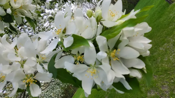 $625,000 | 632 157th Avenue Northeast, Ham Lake, MN 55304