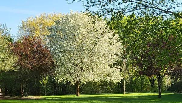 $625,000 | 632 157th Avenue Northeast, Ham Lake, MN 55304