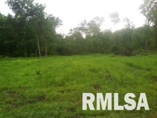 Tbd Tbd Tbd Cypress Road Carterville, IL 62918 - Photo 1 of 3