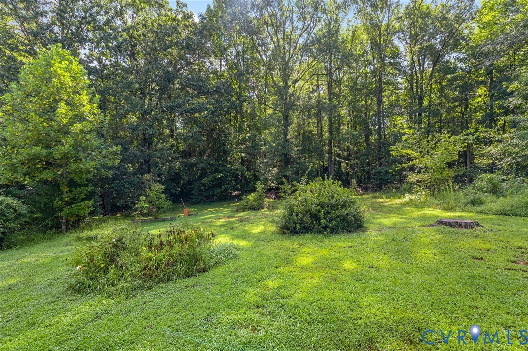 16464 Paddock Run Road Beaverdam, VA 23015 - Photo 31 of 42