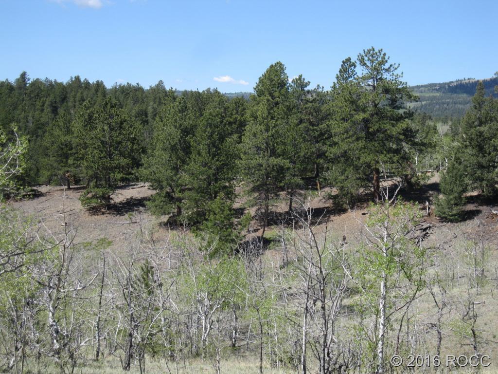 912 Frees Loop Hartsel, CO 80449 - Photo 4 of 11