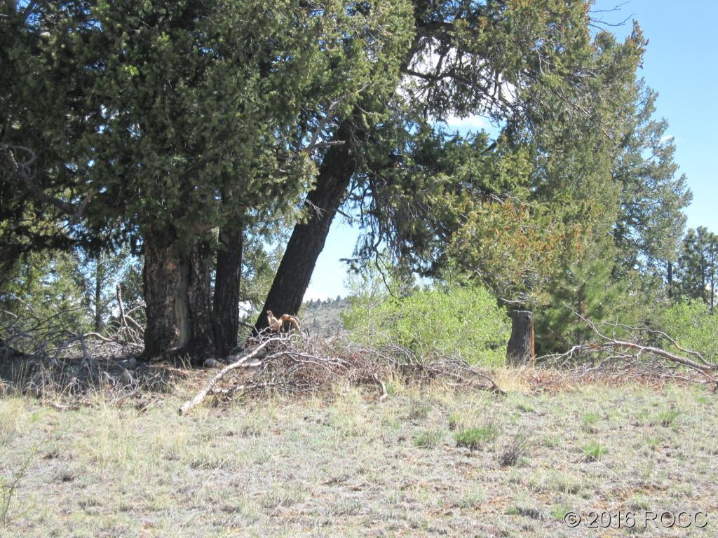 912 Frees Loop Hartsel, CO 80449 - Photo 6 of 11
