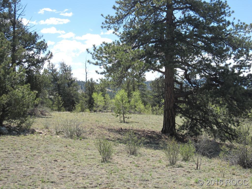 912 Frees Loop Hartsel, CO 80449 - Photo 9 of 11