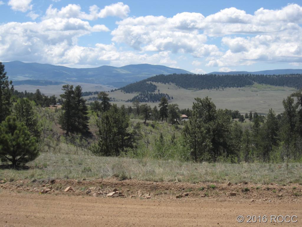 912 Frees Loop Hartsel, CO 80449 - Photo 10 of 11