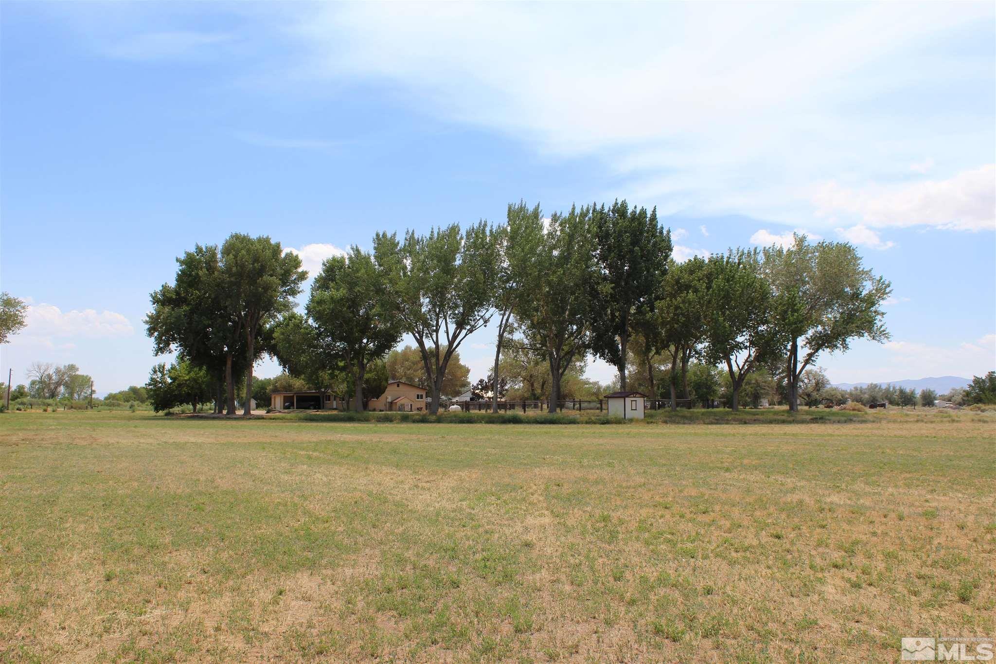 3425 Sorensen Road Fallon, NV 89406 - Photo 5 of 37 a view of a yard with trees in back