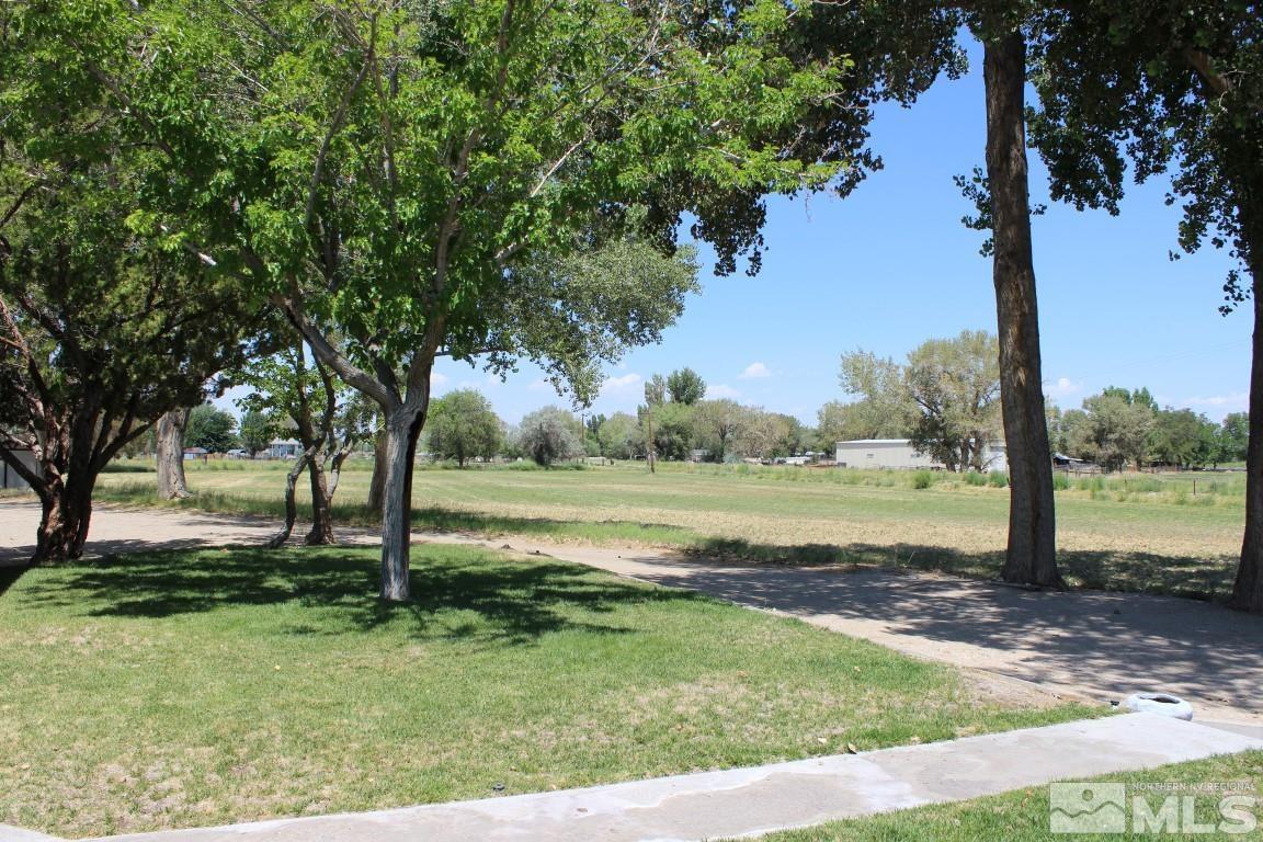 3425 Sorensen Road Fallon, NV 89406 - Photo 6 of 37 a view of a garden with a tree