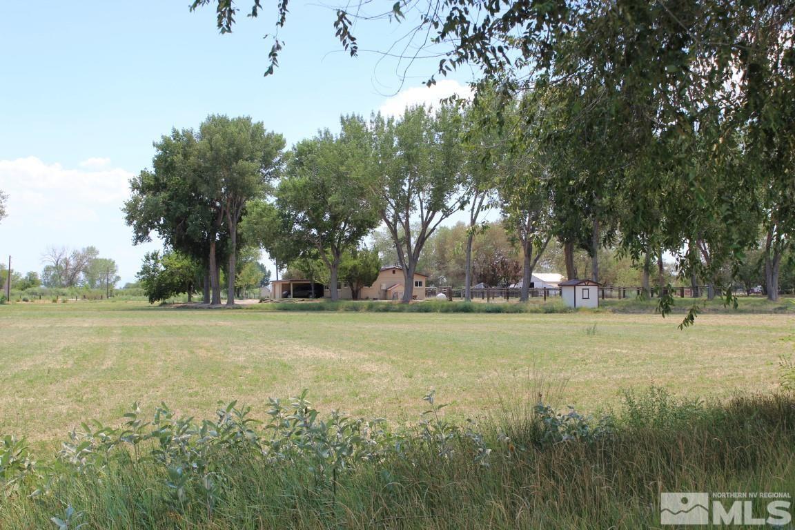 3425 Sorensen Road Fallon, NV 89406 - Photo 8 of 37 a view of a field with trees