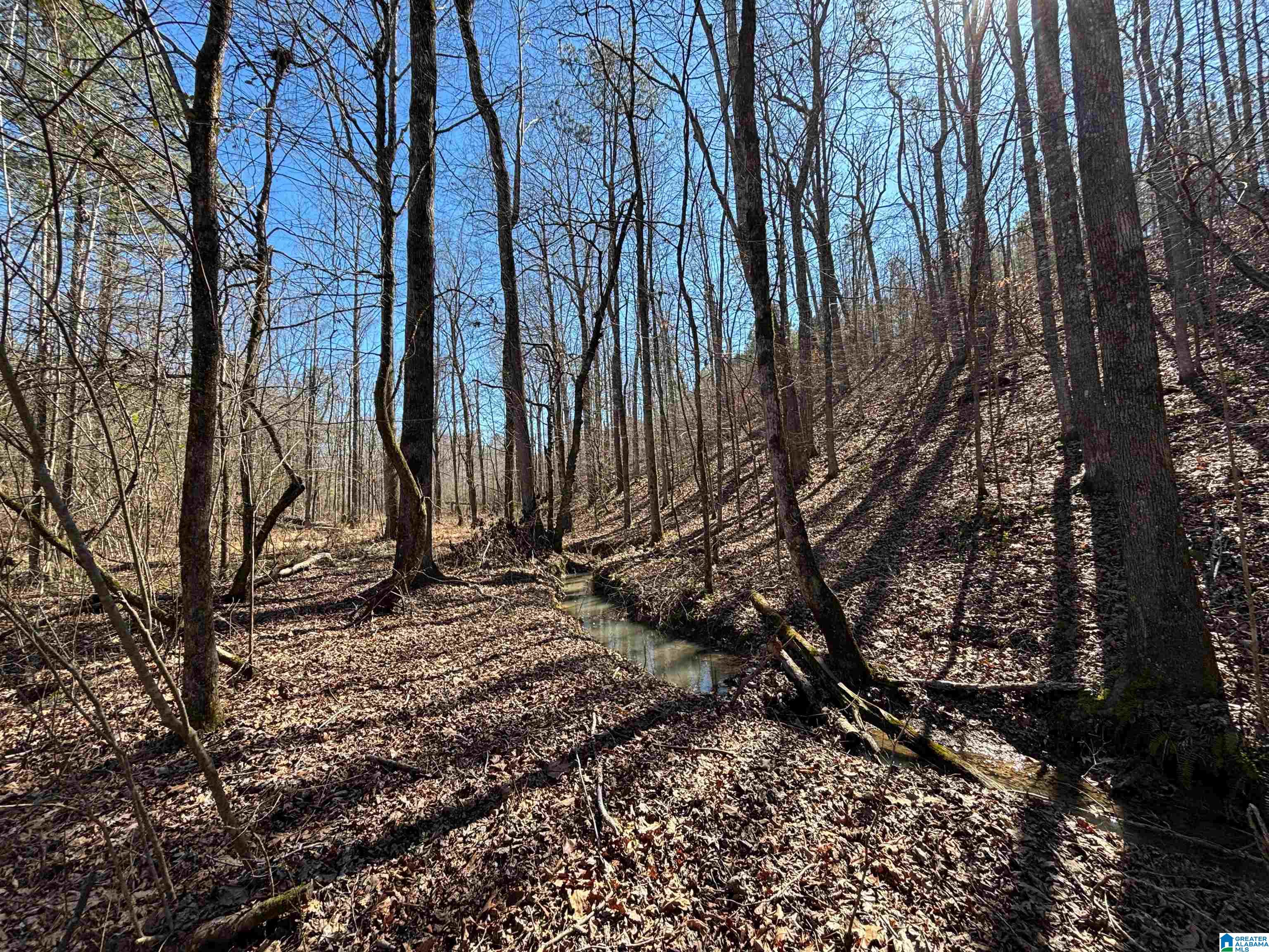 7380 Narrows Road, Unit 148 / ACRES Pinson, AL 35126 - Photo 8 of 22