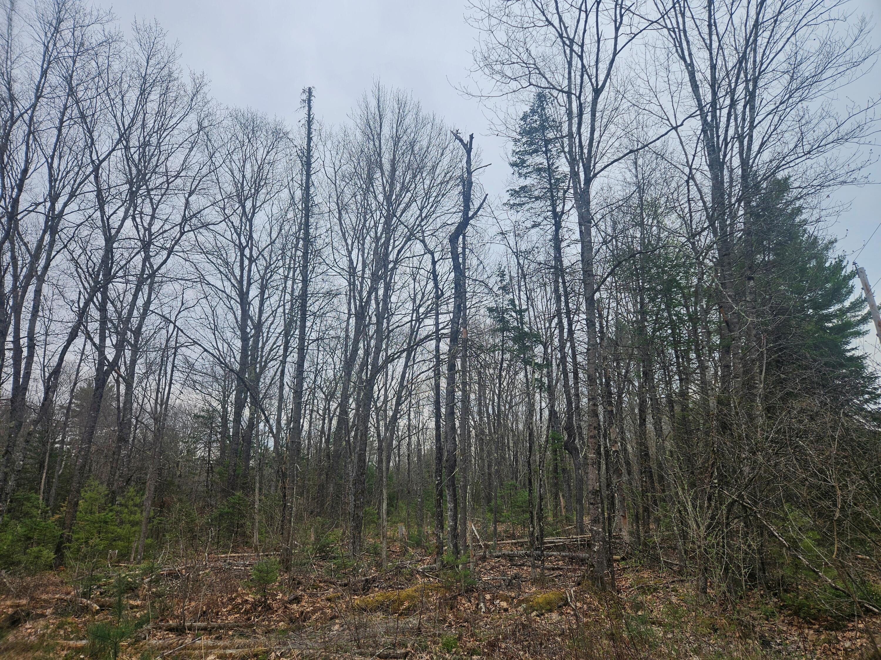 Lot 14-2 Perkins Road Burnham, ME 04922 - Photo 1 of 1 Lot
