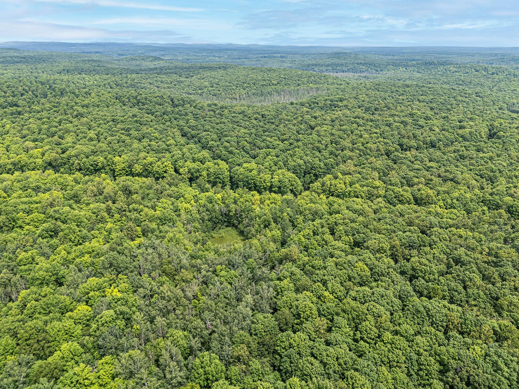 Lot 16 Sand Lake Road Crandon, WI 54520 - Photo 26 of 28 Gallery Image 26