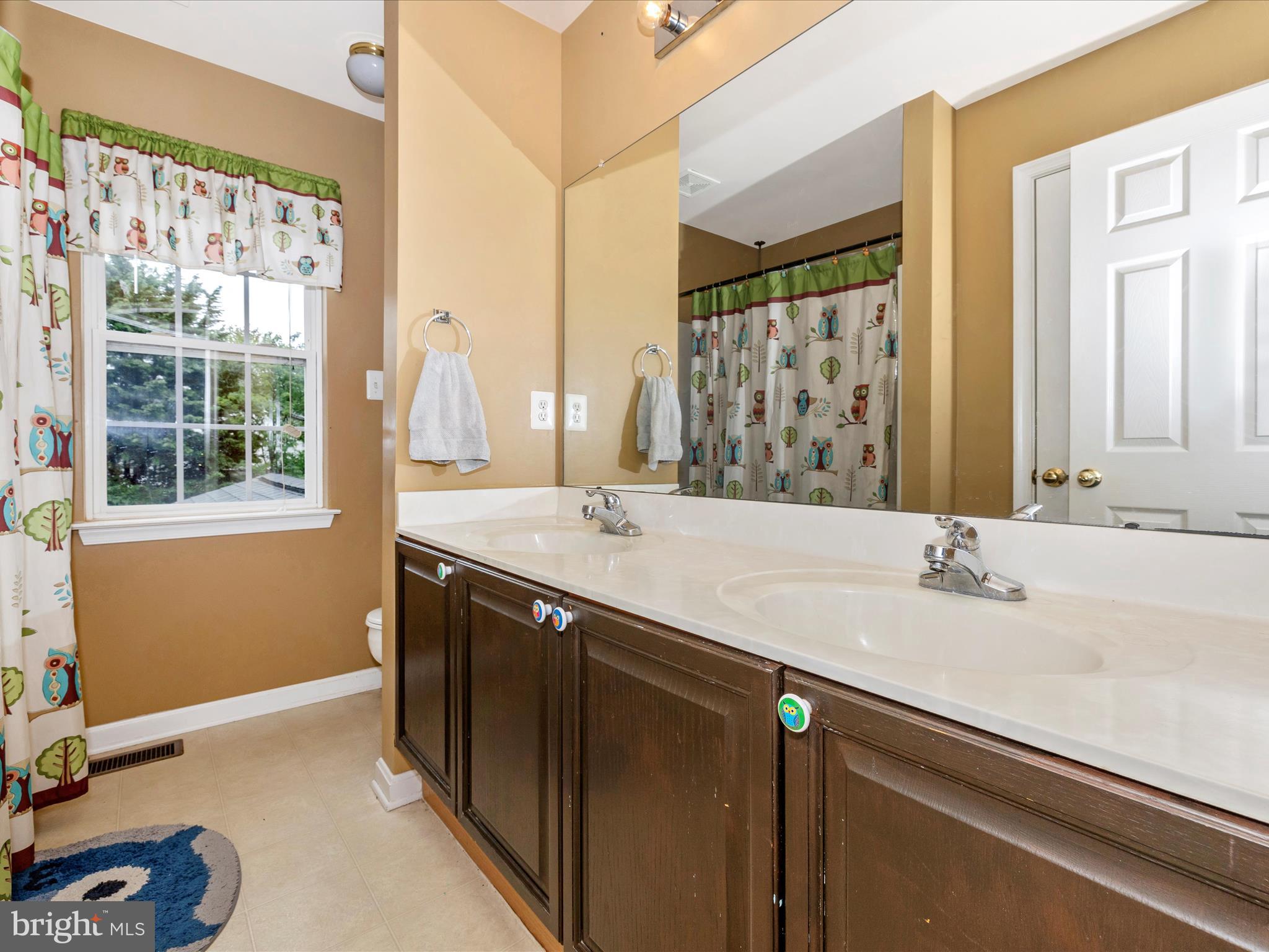 5880 Union Ridge Drive Adamstown, MD 21710 - Photo 37 of 49 a bathroom with a sink and a mirror