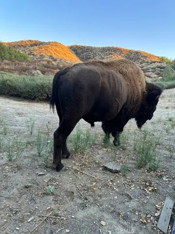 $3,500 | 2411 Menlo Avenue, San Jacinto, CA 92583