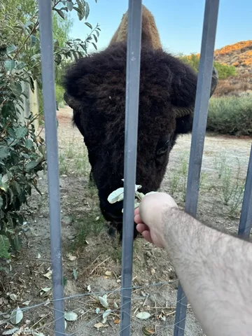 $3,500 | 2411 Menlo Avenue, San Jacinto, CA 92583