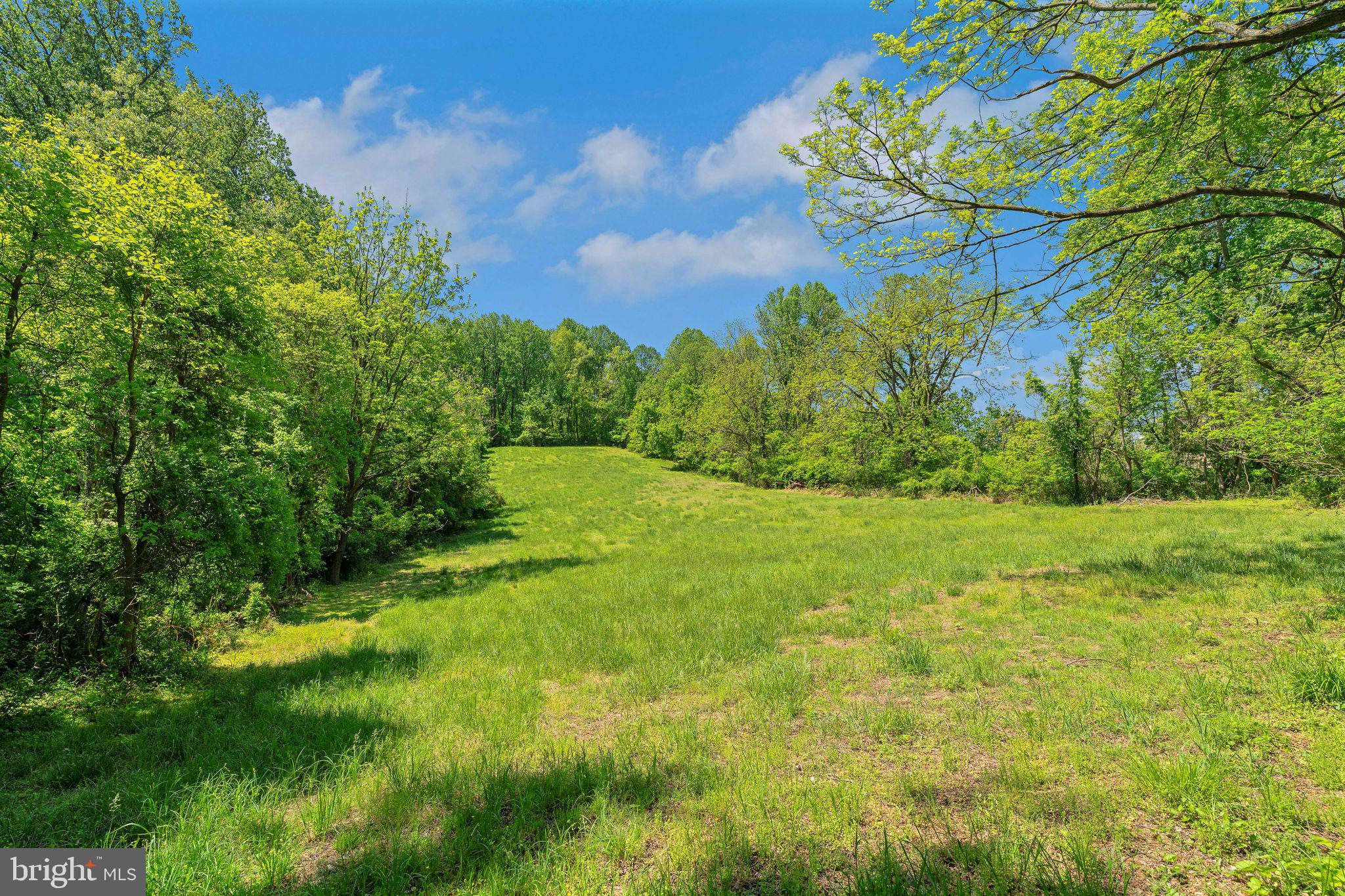2585 Charlestown Road Phoenixville, PA 19460 - Photo 14 of 17 a view of a yard with an tree