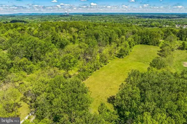 a view of a large yard with lots of trees