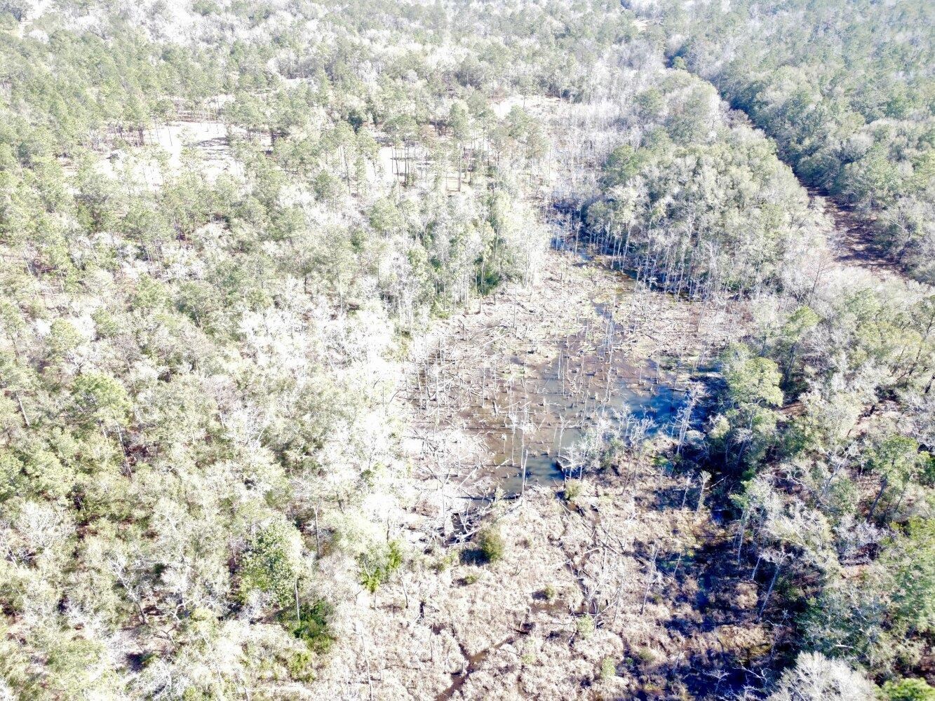 0 Dixon Road Bay Minette, AL 36507 - Photo 4 of 50